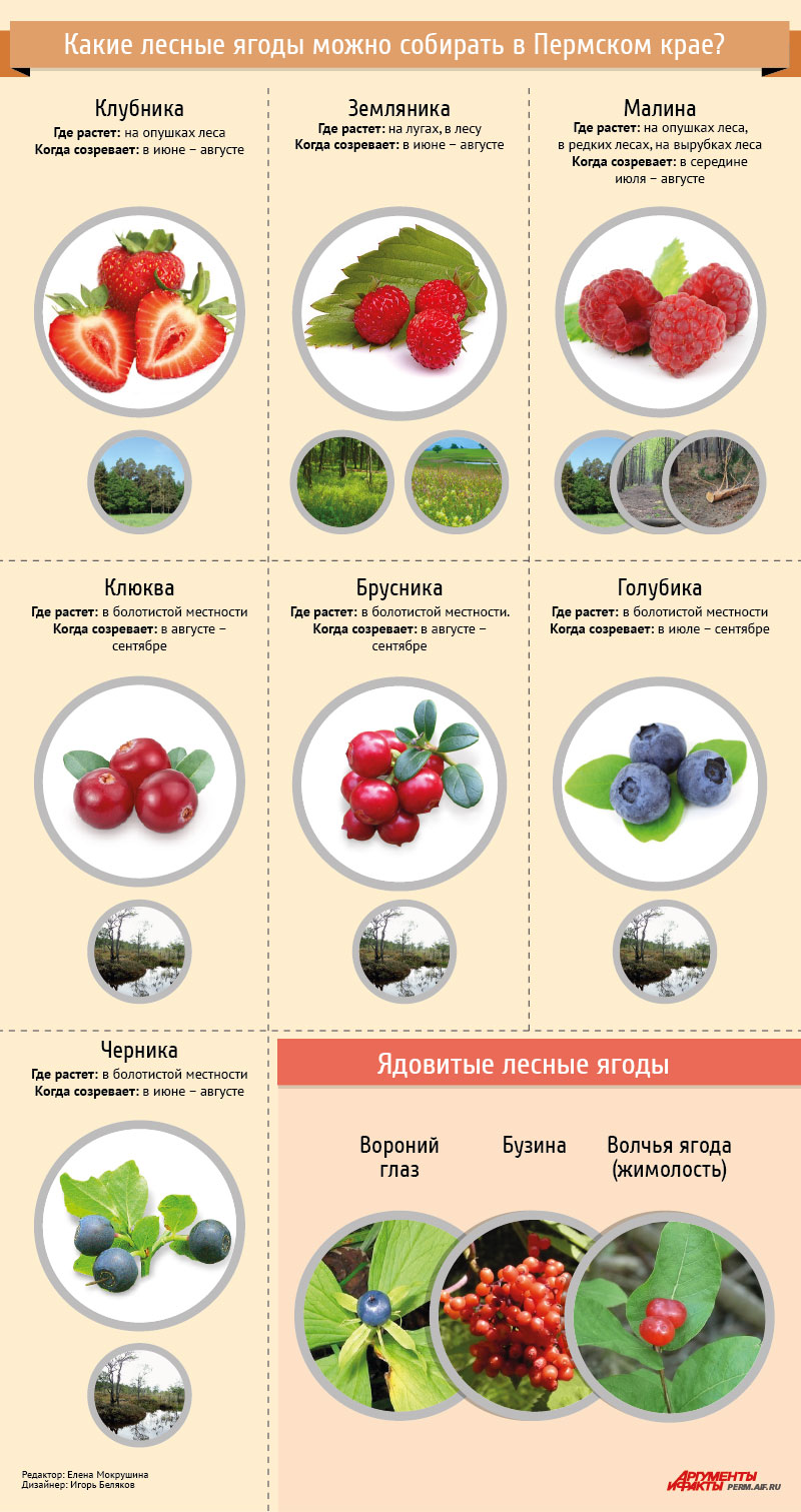 Разновидности ягод